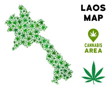 Laos Haritası kompozisyon esrar yaprakların ot. Narkotik bağımlılık şablonu. Vektör Laos Haritası yeşil çimen yaprakları oluşturulur. Yeşil renk tonu düzeninde soyut bölge.