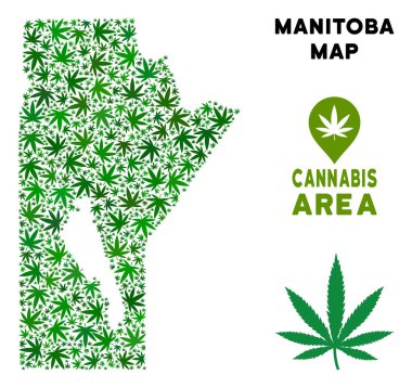 Vektör esrar kolaj Manitoba Eyaleti harita