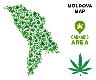 Vektör esrar kolaj Moldova Haritası