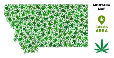 Vektör esrar kolaj Montana Eyaleti harita