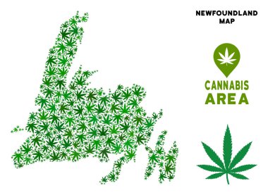 Vektör esrar kompozisyon Newfoundland Adası Haritası