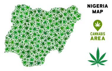 Vektör esrar kompozisyon Nijerya Haritası