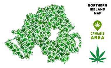 Vektör esrar kolaj Kuzey İrlanda Haritası