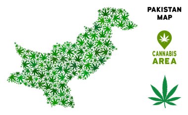 Vektör esrar kolaj Pakistan Haritası