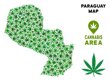 Vektör esrar kompozisyon Paraguay Haritası