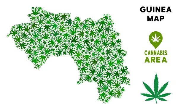 Vektör esrar kolaj Afrika Gine Haritası