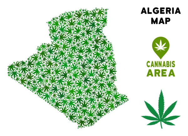 Vektör esrar kompozisyon Cezayir Haritası