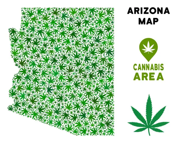 Vektör esrar kolaj Arizona Devlet harita