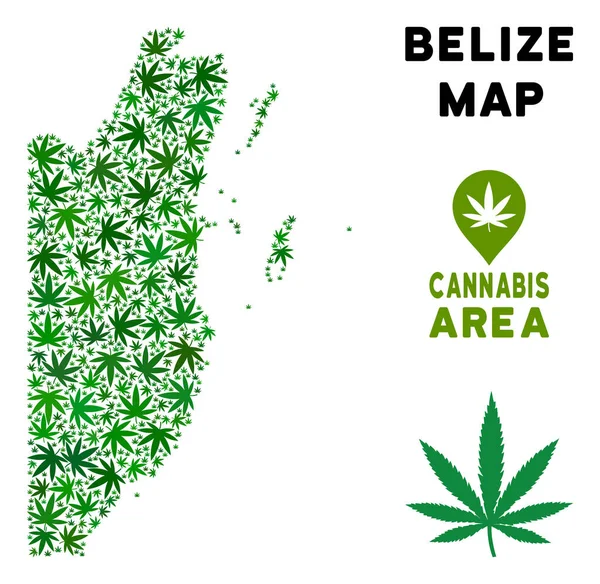 Vektör esrar kompozisyon Belize Haritası
