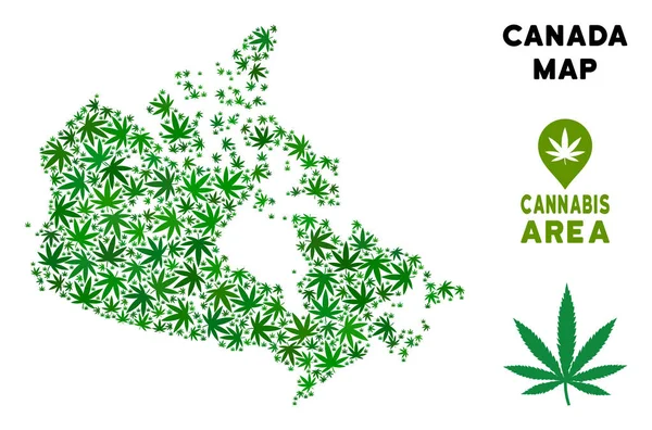 Vektör esrar kolaj Kanada harita