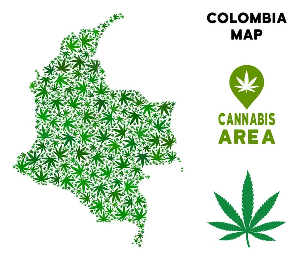 Vektör esrar kolaj Kolombiya Haritası