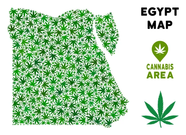 Vektör esrar kolaj Mısır harita