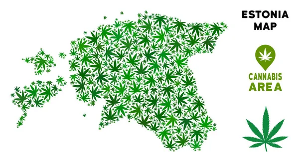 Vektör esrar kolaj Estonya Haritası