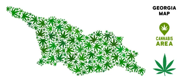 Vektör esrar kompozisyon Georgia harita