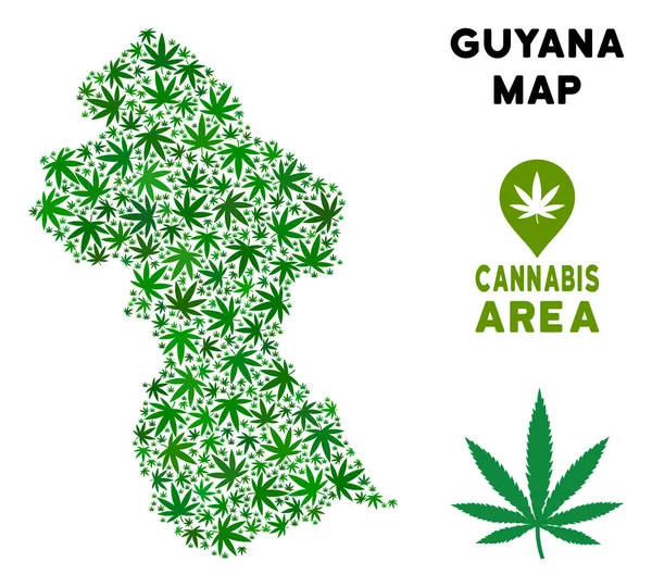 Vektör esrar kompozisyon Guyana Haritası