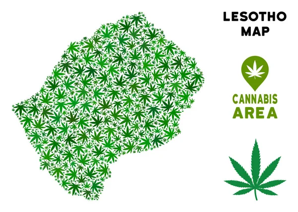 Vektör esrar kolaj Lesoto Haritası