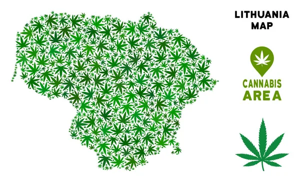 Vektör esrar kompozisyon Litvanya Haritası