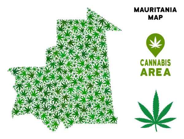 Vektör esrar kolaj Moritanya Haritası