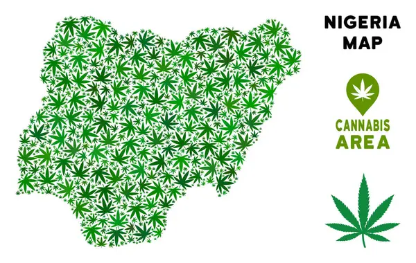 Vektör esrar kompozisyon Nijerya Haritası