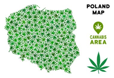 Vektör esrar kolaj Polonya harita