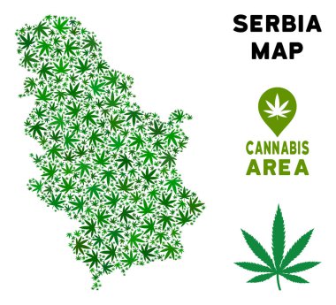 Vektör esrar kolaj Sırbistan harita