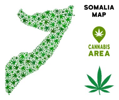Ganja Somali harita kompozisyon esrar bırakır. Narkotik dağıtım kavramı. Vektör Somali harita yeşil kenevir yaprakları tasarlanmıştır. Coğrafi düzeninde soyut: yeşil renk tonları.