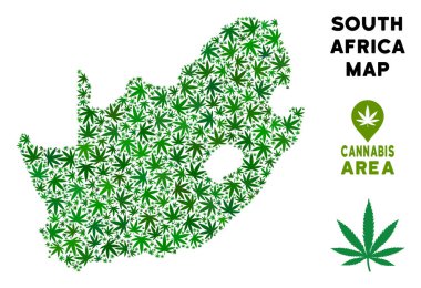 Vektör esrar kolaj Güney Afrika Cumhuriyeti harita