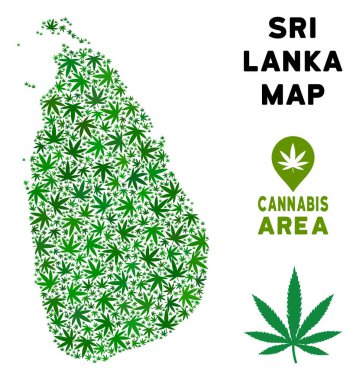 Vektör esrar kompozisyon Sri Lanka ada Haritası