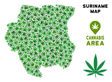 Vektör esrar kompozisyon Surinam Haritası
