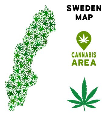 Vektör esrar kolaj İsveç harita