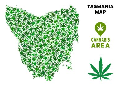 Ganja Tazmanya Adası harita kompozisyon esrar bırakır. Alkolizim kavramı. Vektör Tazmanya Adası harita yeşil Gence yaprakları ile oluşturulur. Yeşil renk tonu düzeninde soyut alan.