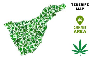 Vektör esrar kolaj Tenerife İspanya ada Haritası