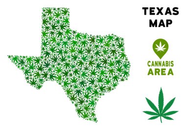 Vektör esrar kolaj Texas harita