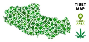 Vektör esrar mozaik Tibet Çin bölgesi harita