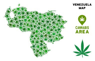 Vektör esrar kompozisyon Venezuela Haritası