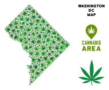 Vektör esrar kolaj Washington Dc göster