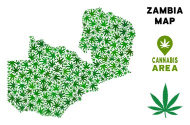 Vektör esrar kompozisyon Zambiya Haritası