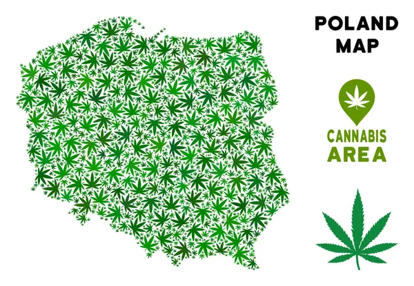 Vektör esrar kolaj Polonya harita