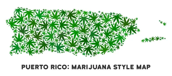 プエルトリコ地図コラージュ マリファナの葉を取り除きます 麻薬中毒の概念 ベクトル プエルトリコ マップは 緑の麻葉の構成されています 緑の色の濃淡で抽象的な地理的な計画 — ストックベクタ