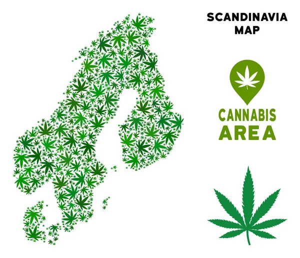 Vektör esrar kolaj Scandinavia harita