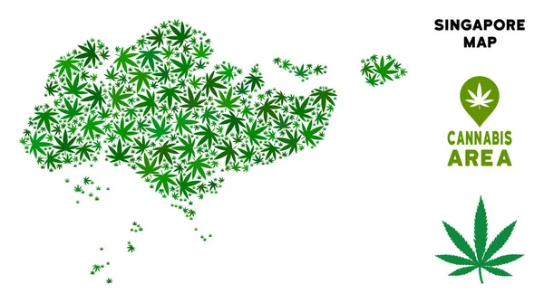 Vektör esrar kolaj Singapur göster