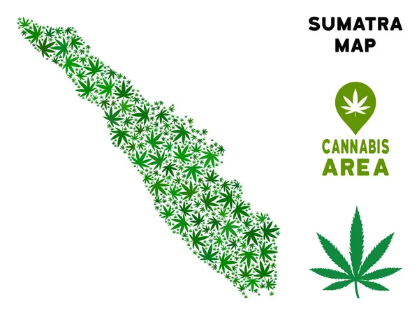 Vektör esrar kolaj Sumatra Adası Haritası