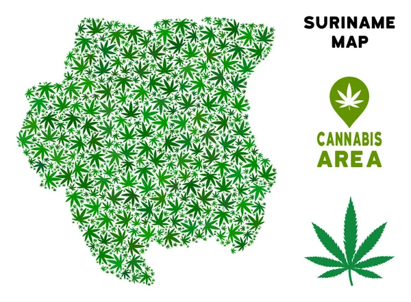 Vektör esrar kompozisyon Surinam Haritası