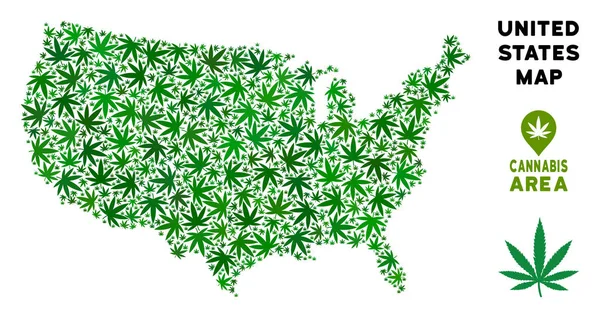 Vektör esrar kompozisyon ABD harita