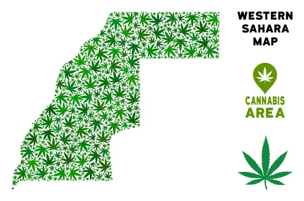 Vektör esrar kompozisyon Batı Sahra harita