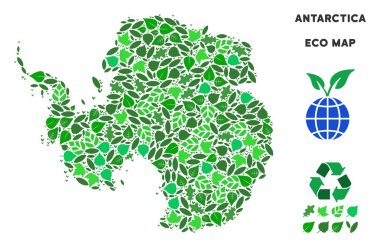 Vektör ekoloji yeşil kolaj Antarktika harita