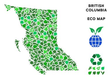 Vector Leaf Green Collage British Columbia Province Map