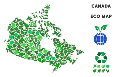 Vektör eko yeşil mozaik Kanada haritası