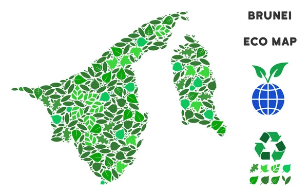 Vector Ecología Verde Composición Brunei Mapa — Archivo Imágenes Vectoriales