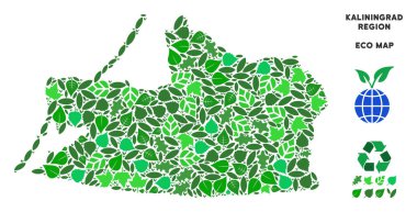 Vektör eko yeşil kolaj Kaliningrad Bölgesi Haritası